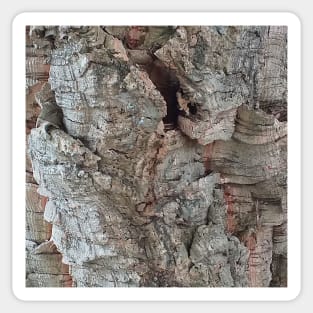 Cork Oak Tree Bark Texture 4 Sticker